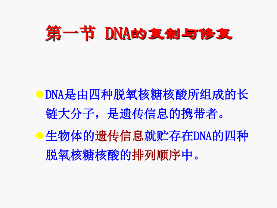 DNA复制、RNA转录、蛋白质翻译_第2页