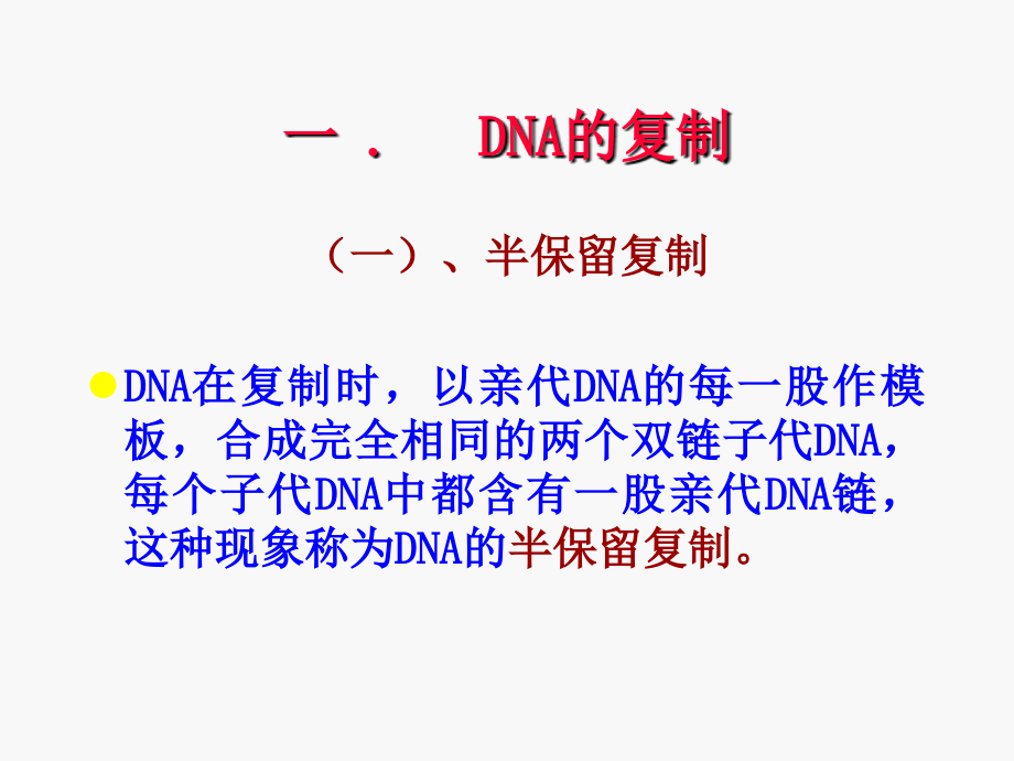 DNA复制、RNA转录、蛋白质翻译_第4页