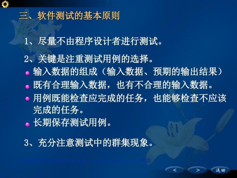 软件测试(ppt)完整版_第5页