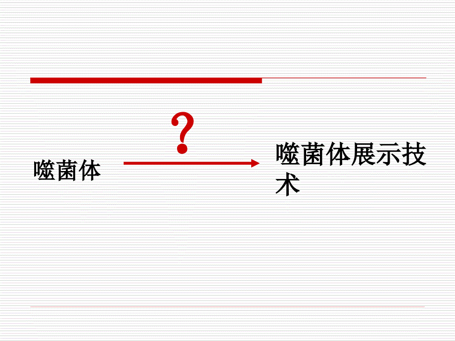 噬菌体展示技术及_第3页