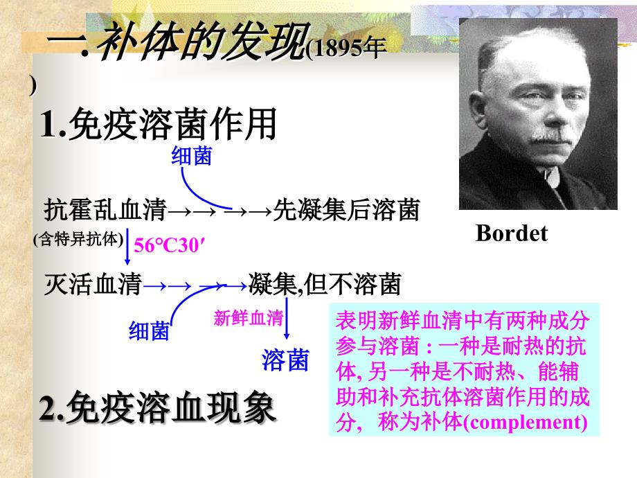 病原生物和免疫学38章补体系统_第2页