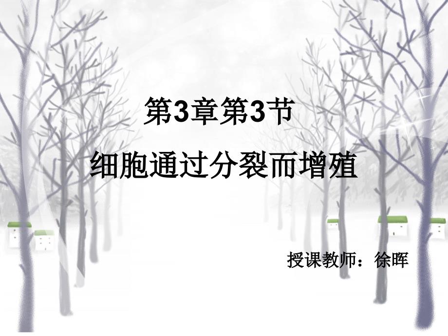 细胞分裂而增殖_第3页