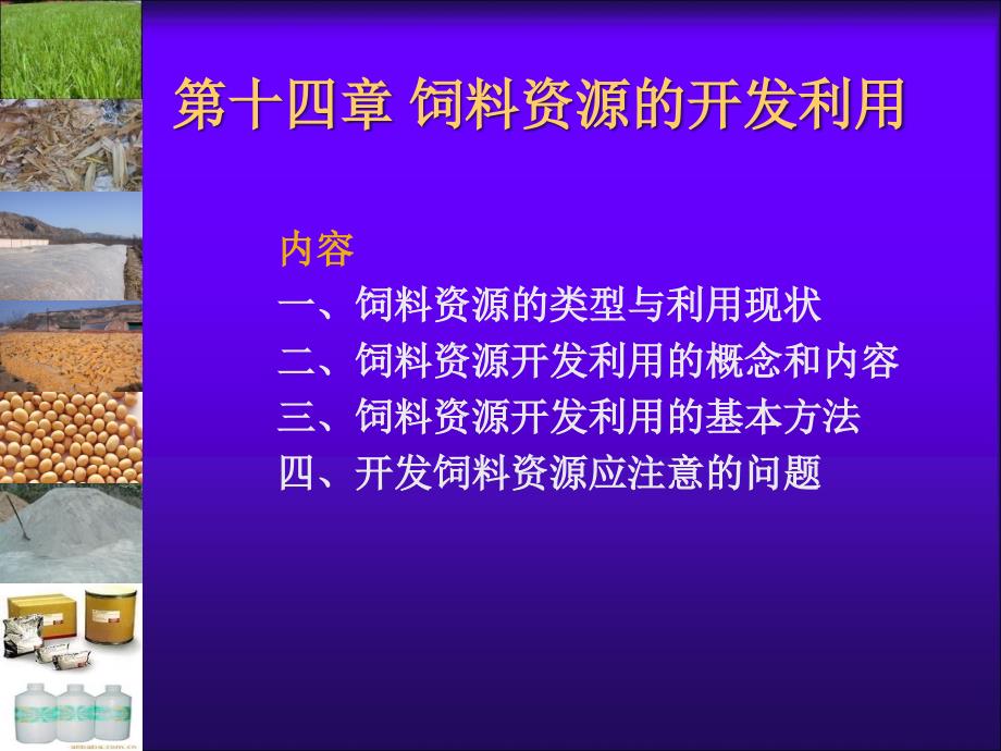 饲料学14章ppt_第1页