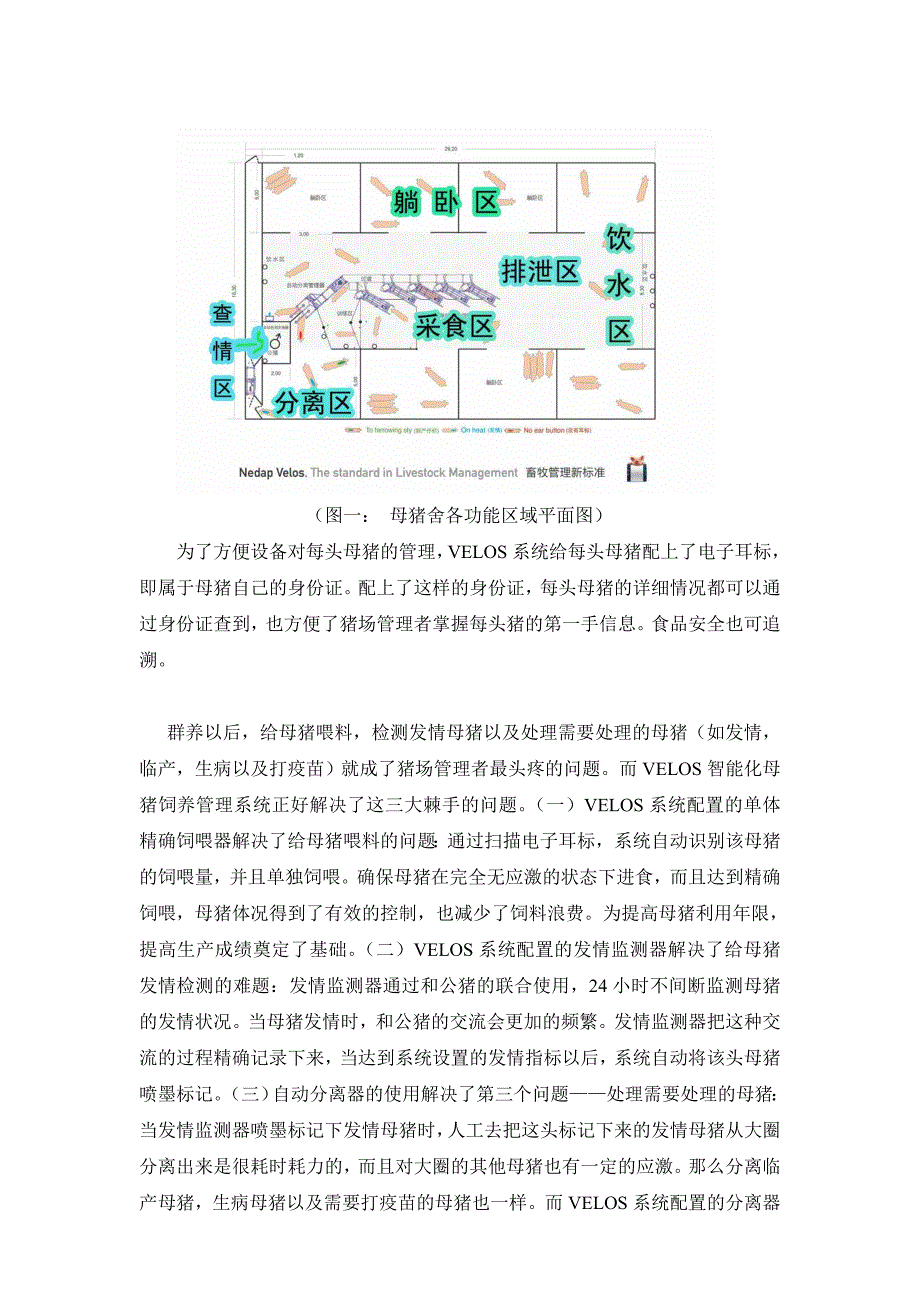 荷兰VELOS智能化母猪饲养管理系统的介绍_第2页