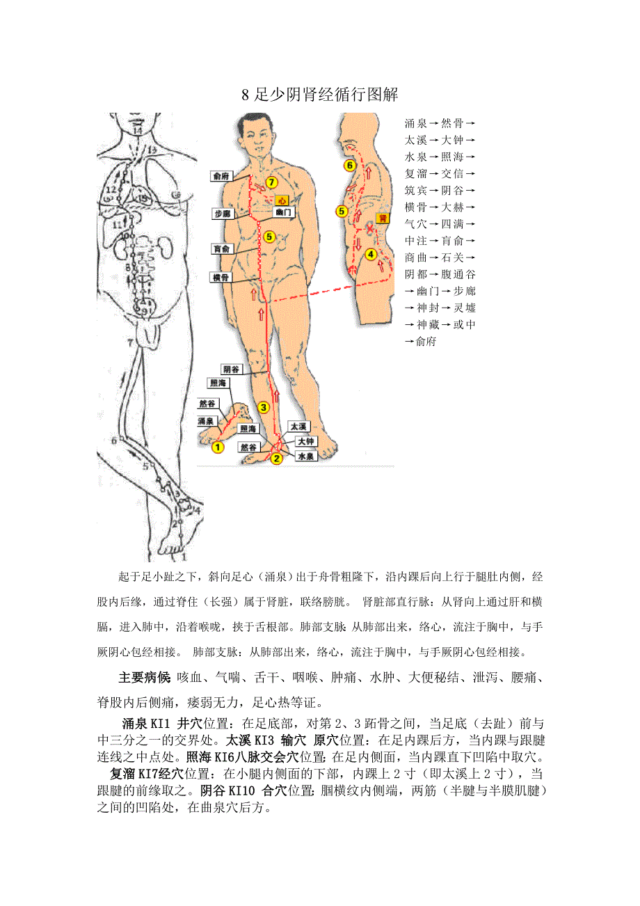 8足少阴肾经循行图解_第1页