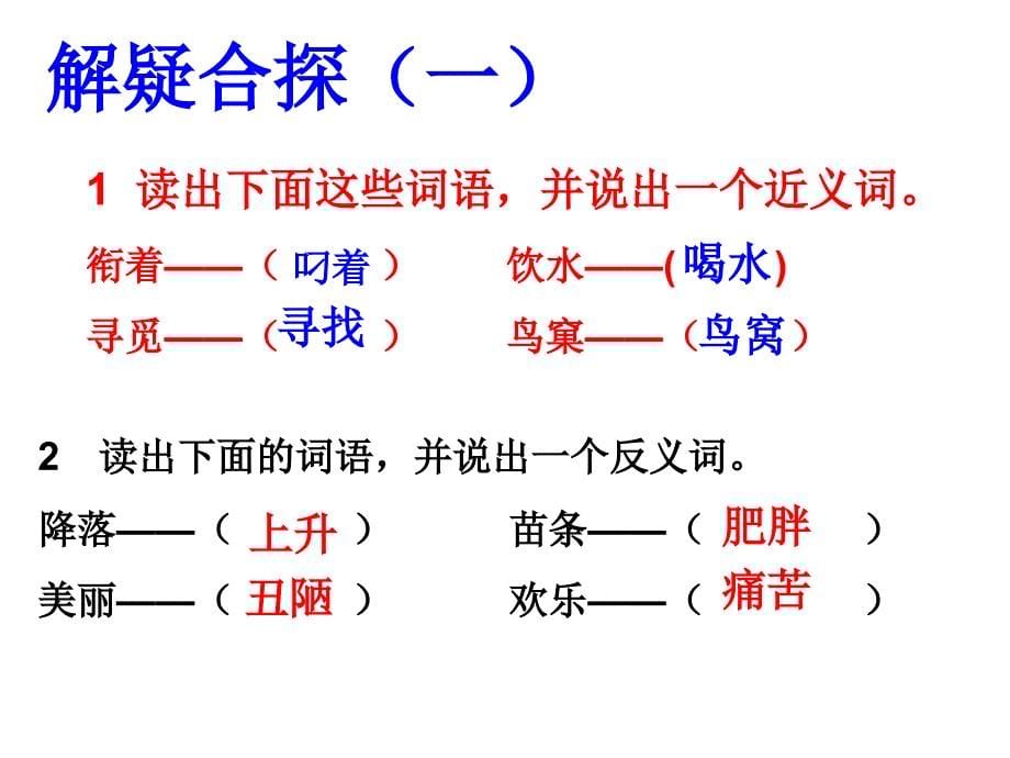 《湖滩上,有一对天鹅》课件_第5页