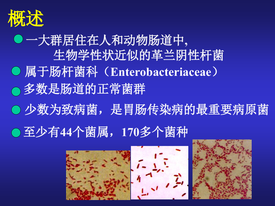 2版肠道细菌幻灯片_第2页
