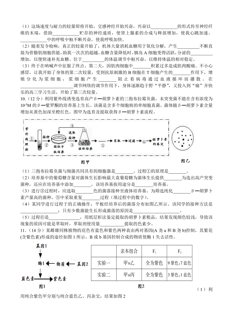 四川凉山州2015届高中毕业班第一次诊断性测试 生物_第4页