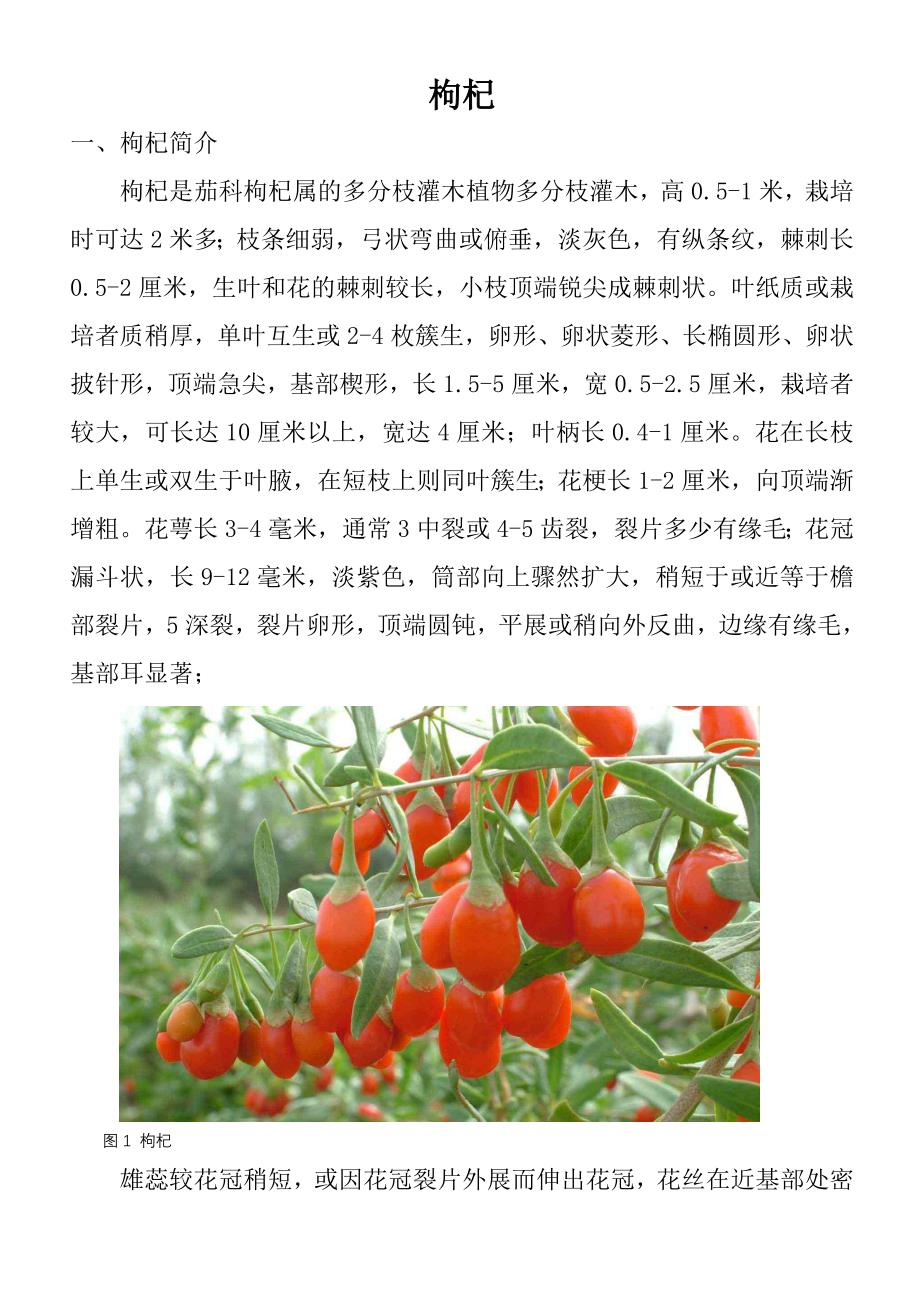 沙生药材(定稿)_第1页
