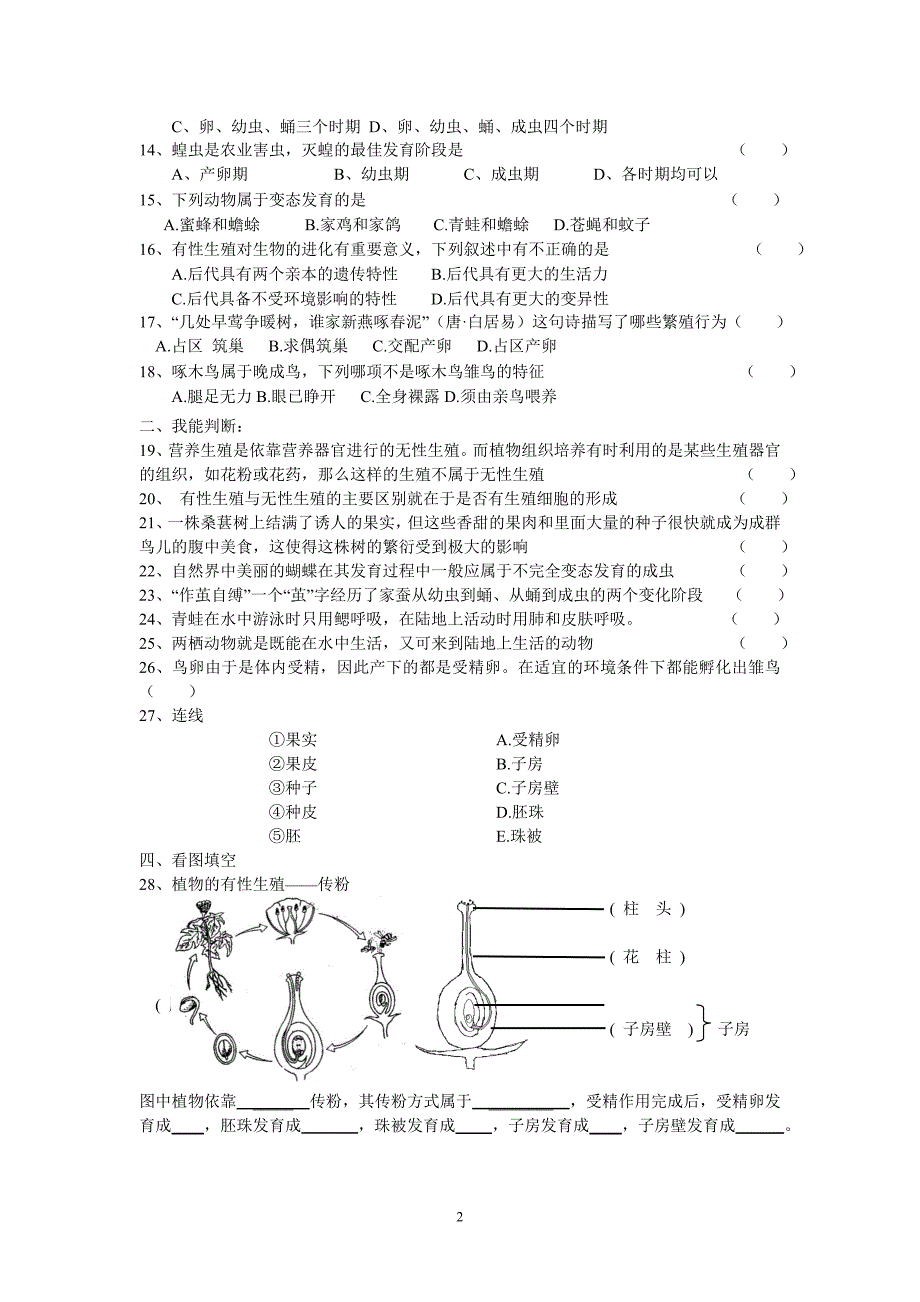 生物八年级上册寒假作业_第2页