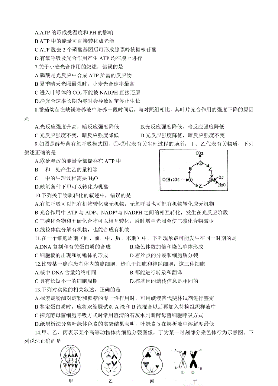 山东省青岛市2016届高三上学期期末考试生物试题_第2页