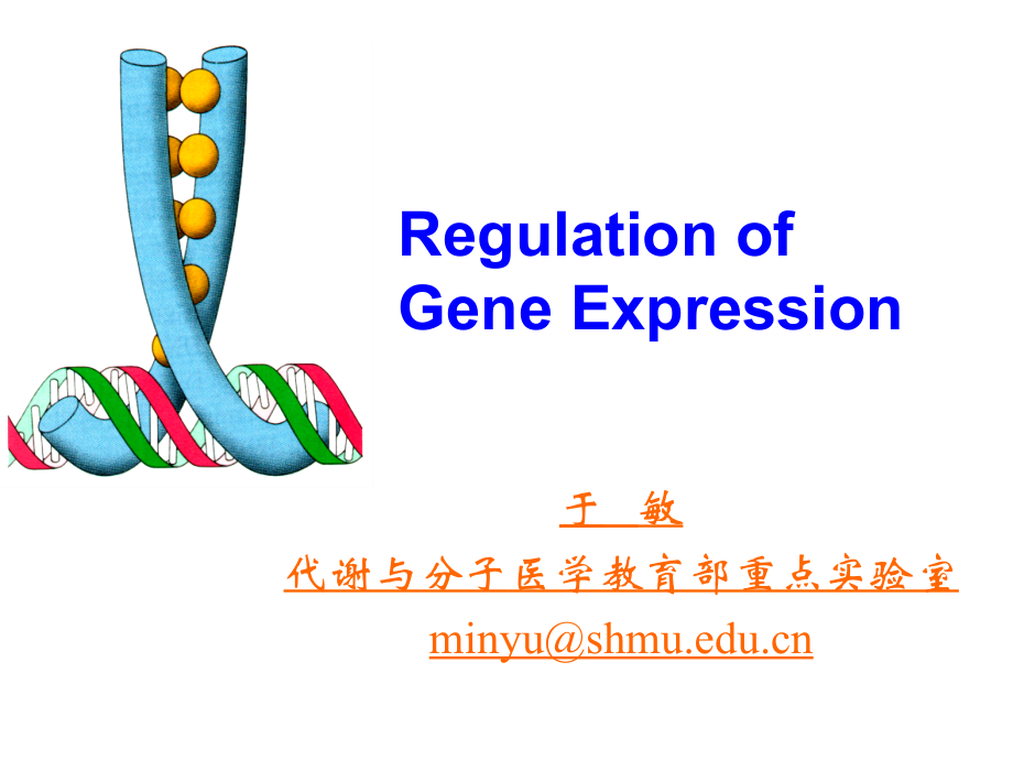 分子遗传学课件基因表达的调节_第1页