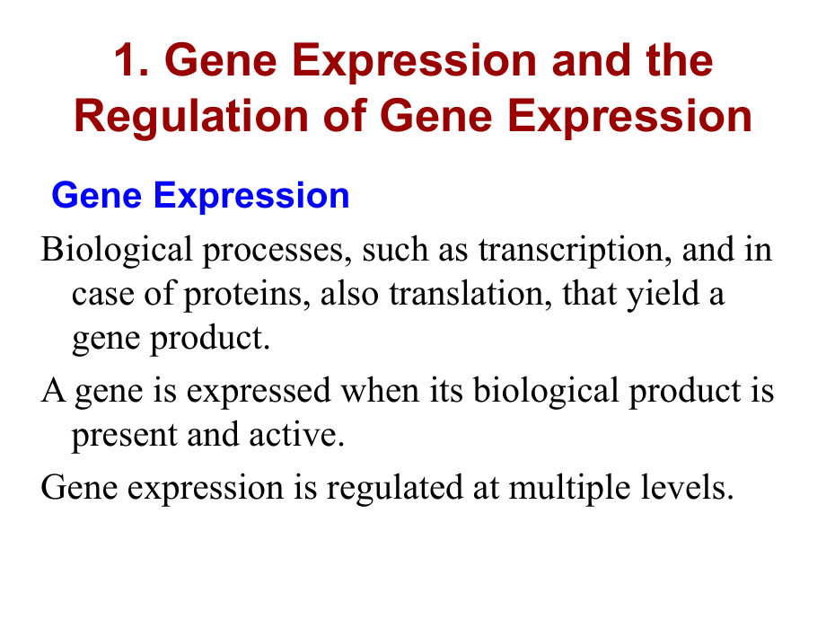 分子遗传学课件基因表达的调节_第2页