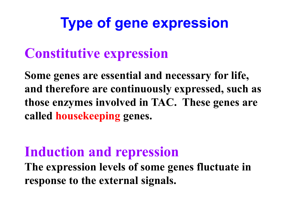 分子遗传学课件基因表达的调节_第3页