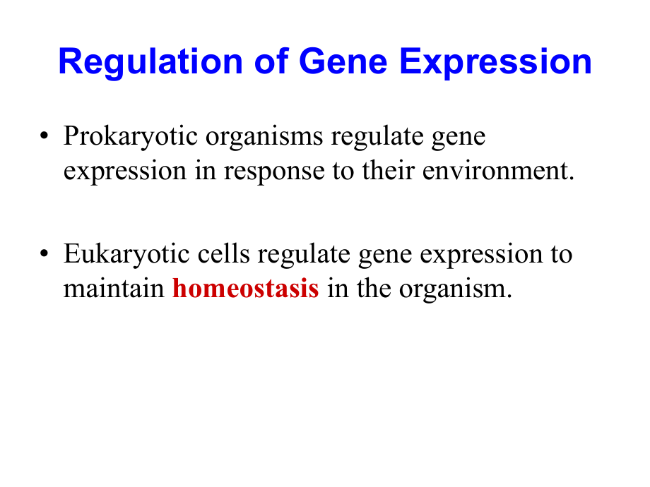 分子遗传学课件基因表达的调节_第4页