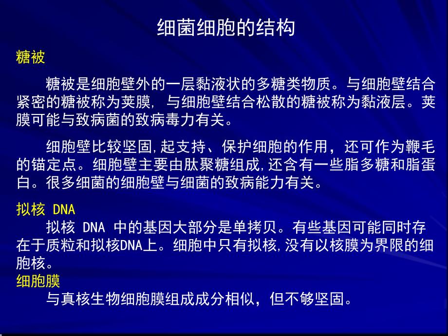 专题十 微生物与工程_第3页