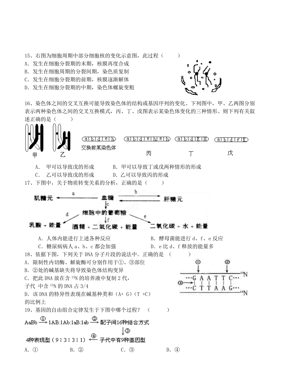 2015届高三11月基础测试生物试题_第3页