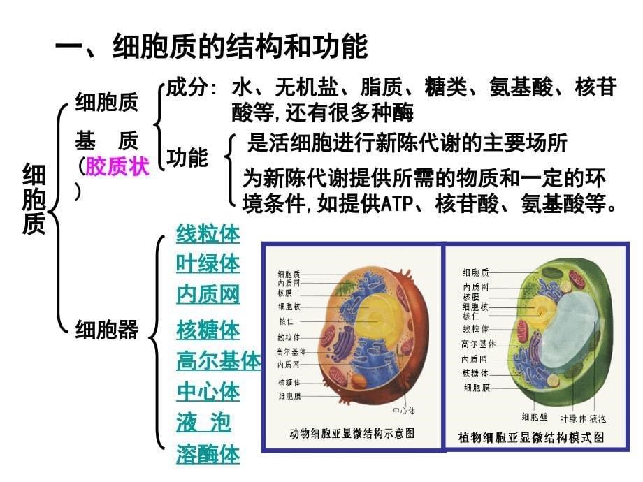 3.2细胞器——系统内的分工合作幻灯片_第5页