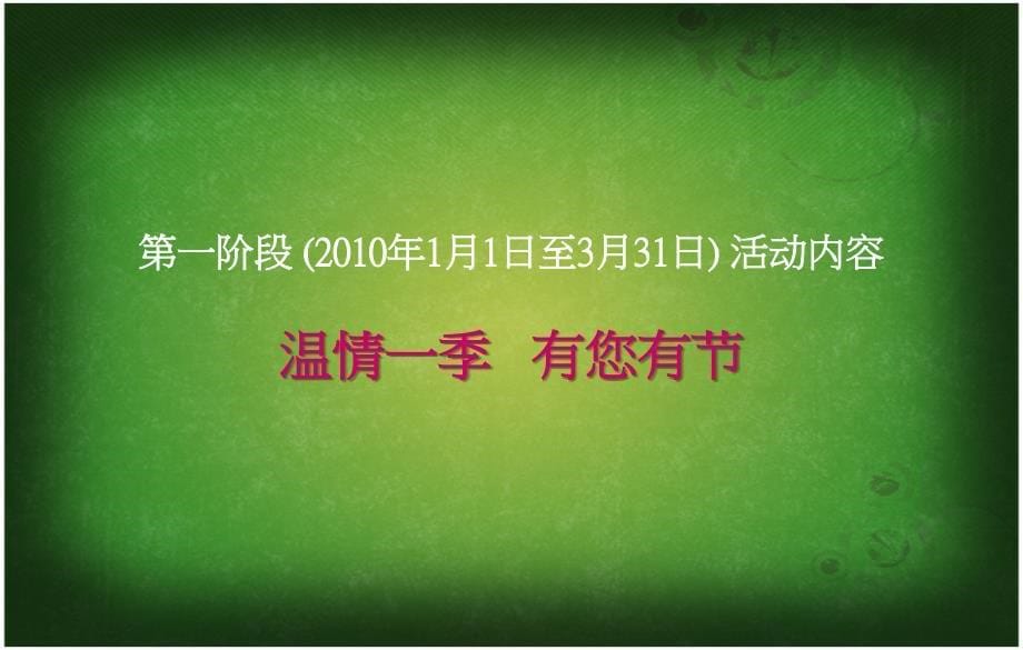 协信天骄城公关活动推广建议_第5页