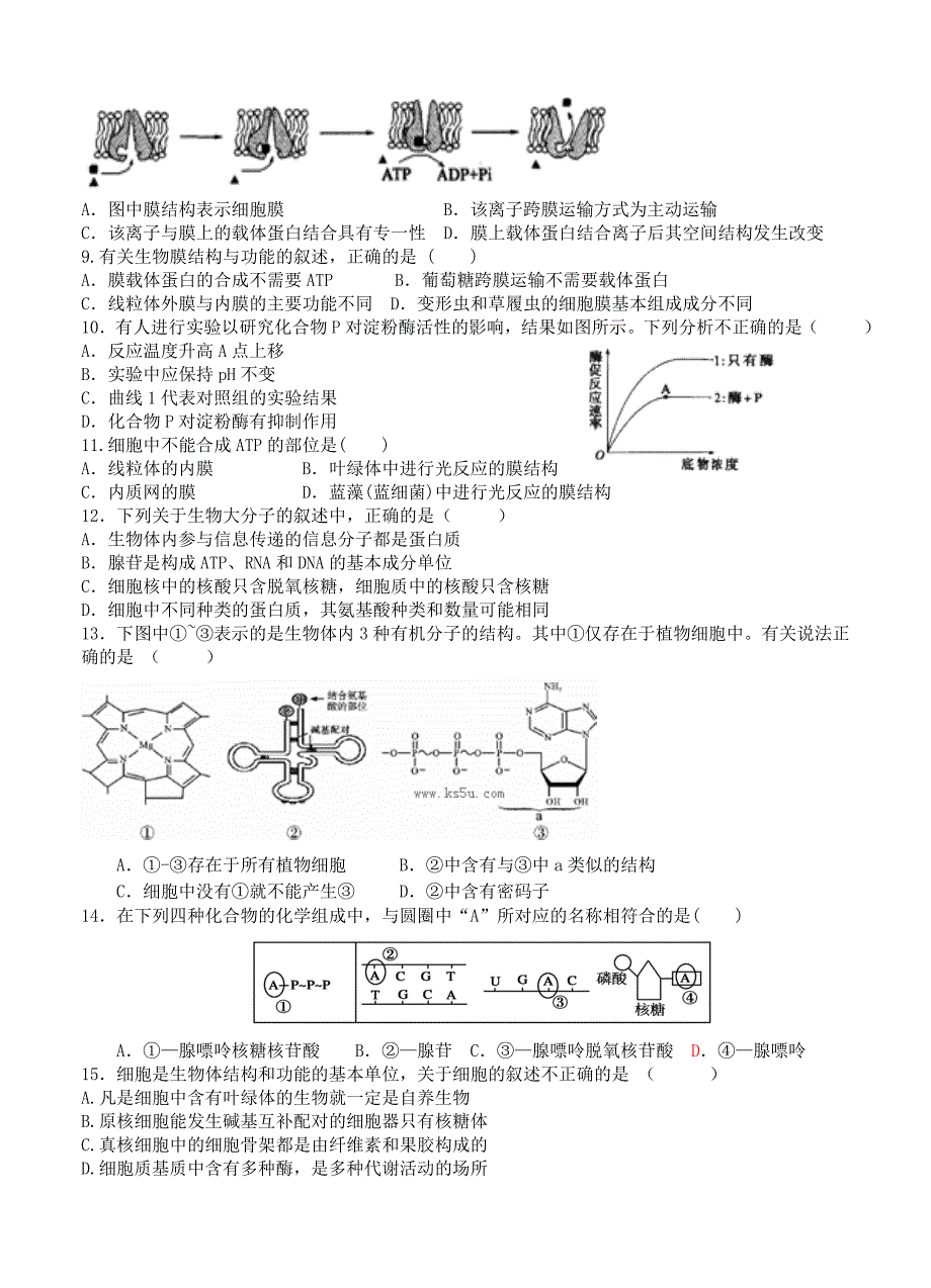 山东省日照市一中2014届高三上学期第一次月考生物试题_第2页