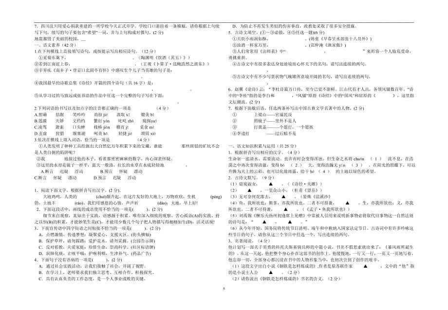 九年级语文寒假作业_第5页