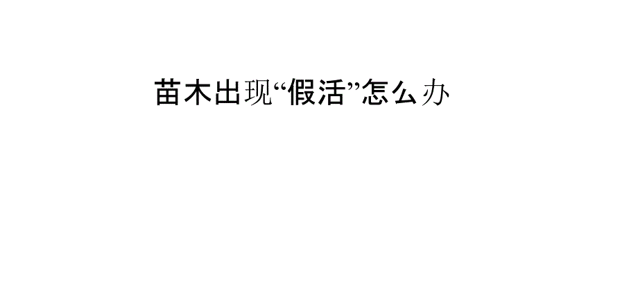 苗木出现“假活”怎么办_第1页