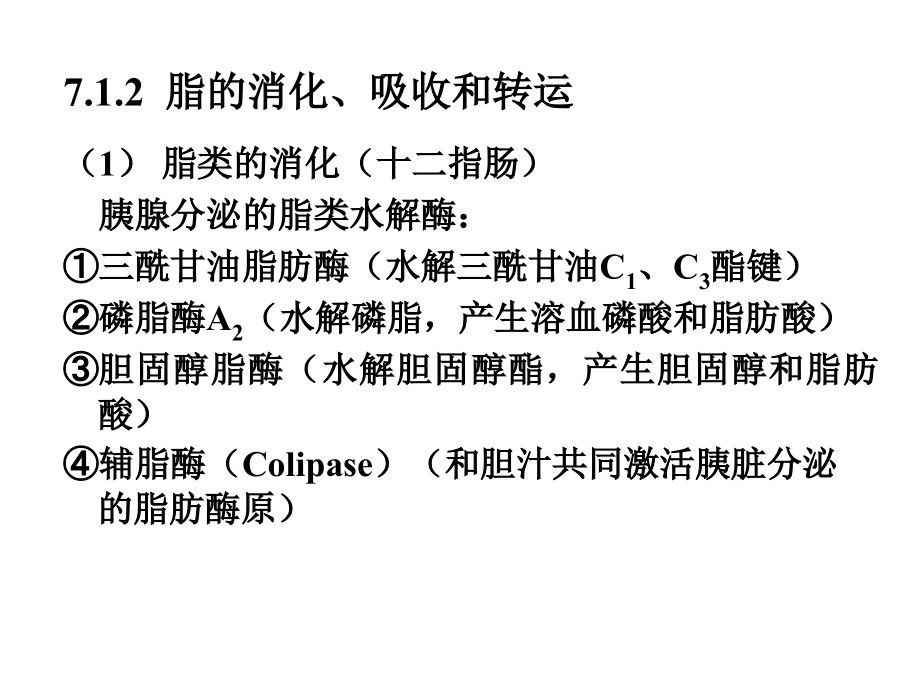 07  脂类代谢幻灯片_第3页