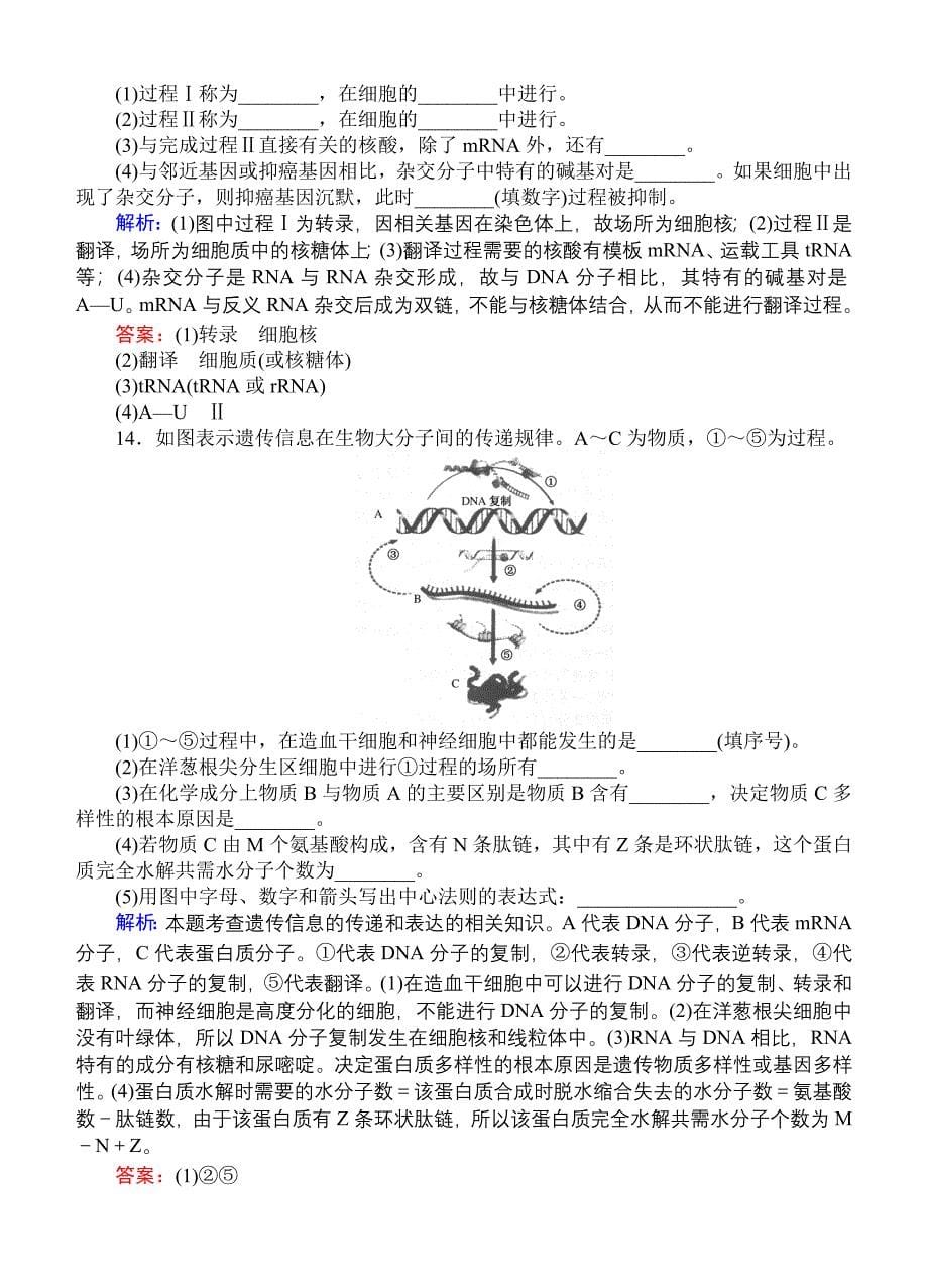 2015高考生物一轮复习课后练习：18基因的表达_第5页