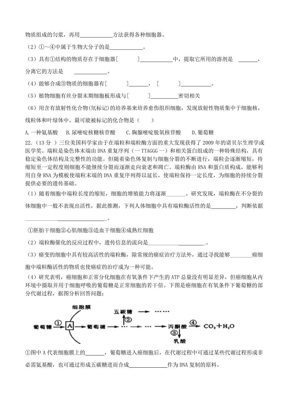 吉林省汪清县普通高中2014届高三上学期第二次月考生物试题_第5页