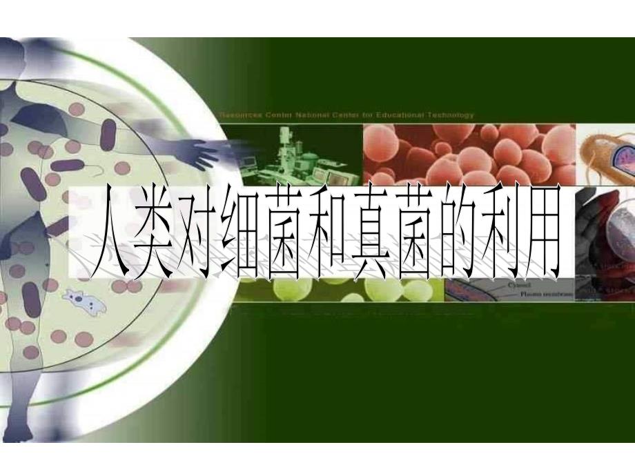 八年级生物人类对细菌真菌的利用_第1页