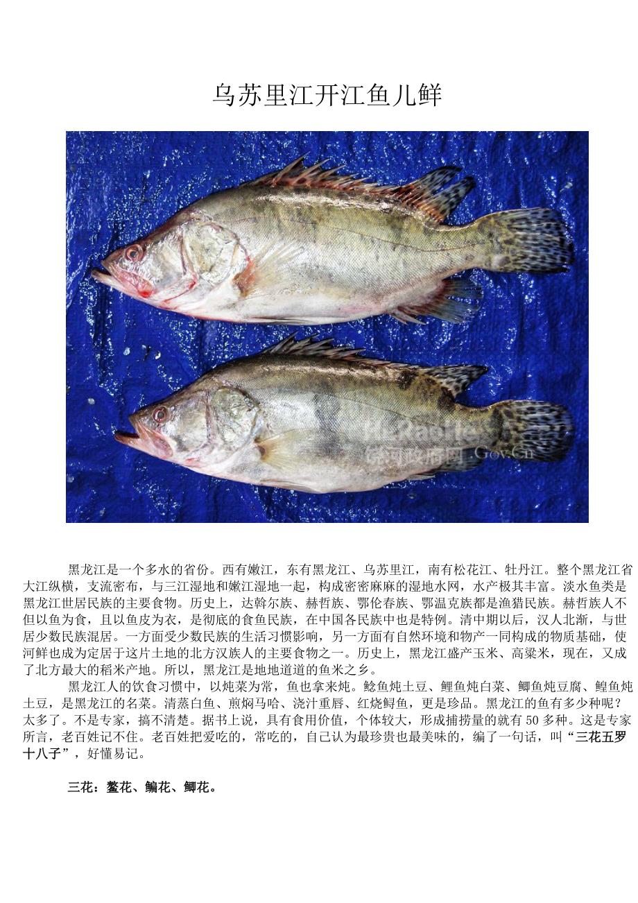 乌苏里江开江鱼儿鲜_第1页