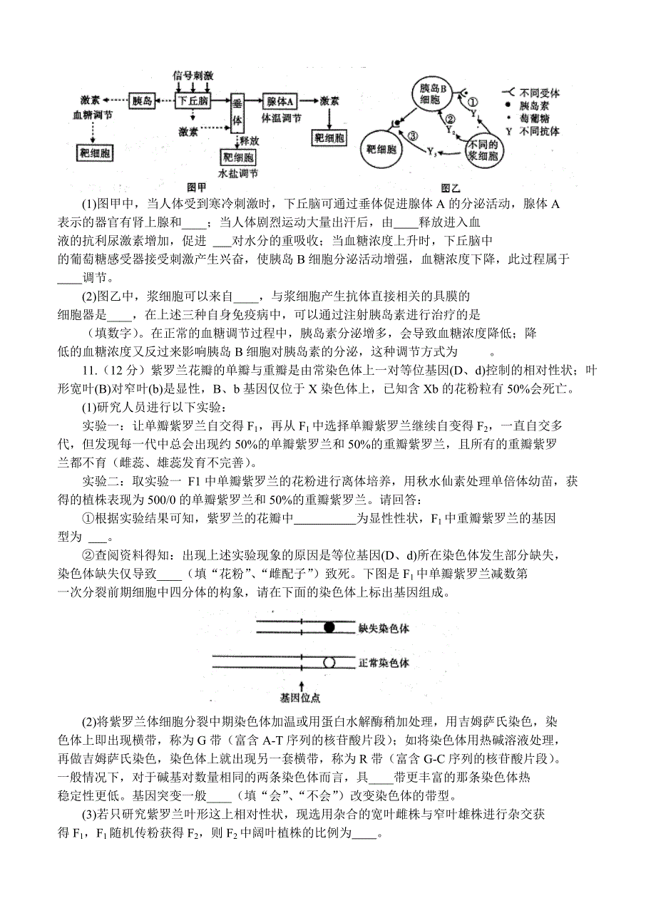 四川省内江市2016届高三第四次模拟考试 生物_第4页