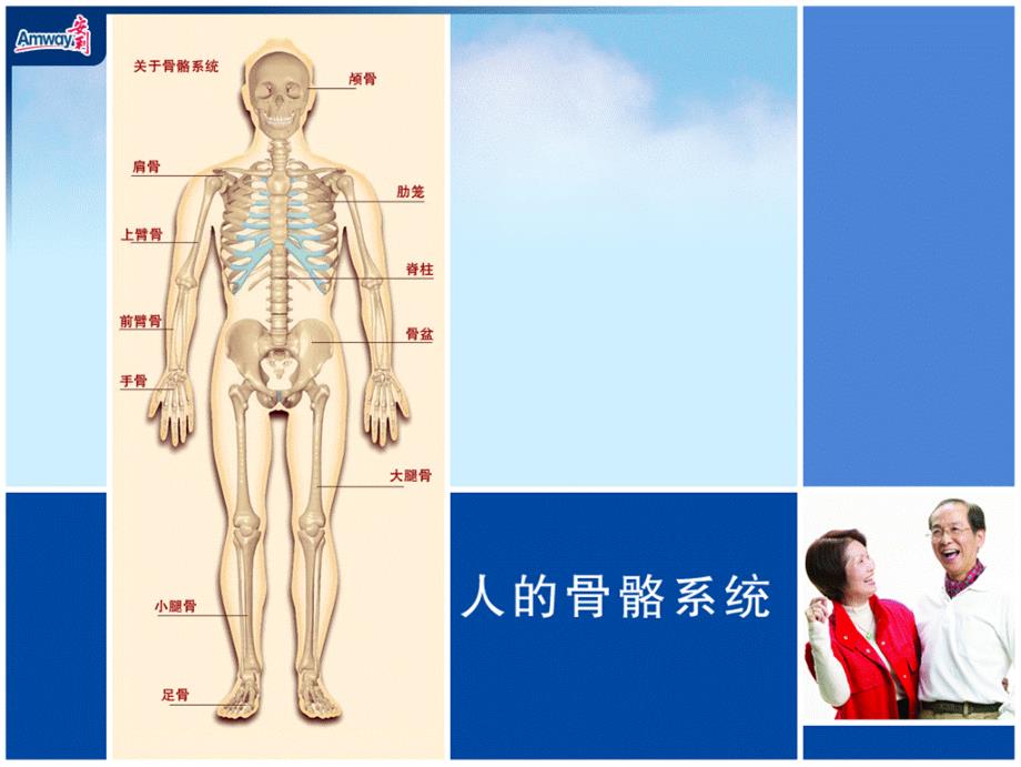 2远离骨质疏松幻灯片_第3页