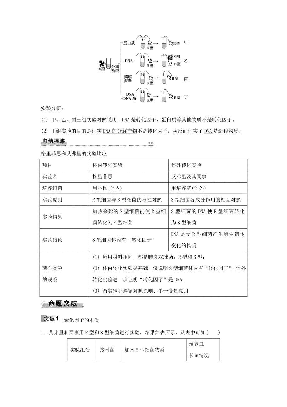 【教案】高中生物必修2讲义：第3章基因的本质第1节DNA是主要的遗传物质Word版含解析_第5页