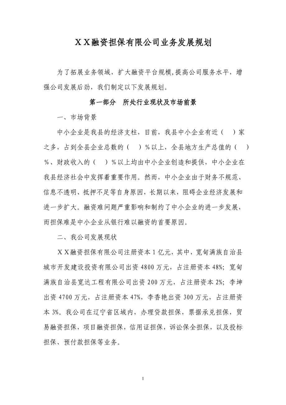 融资担保有限公司业务发展规划_第1页