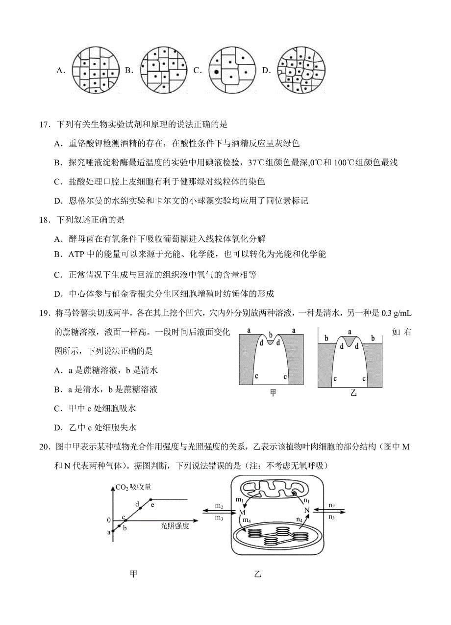 安徽省淮北市濉溪县2017届高三上学期第一次月考（9月）生物试题_第5页