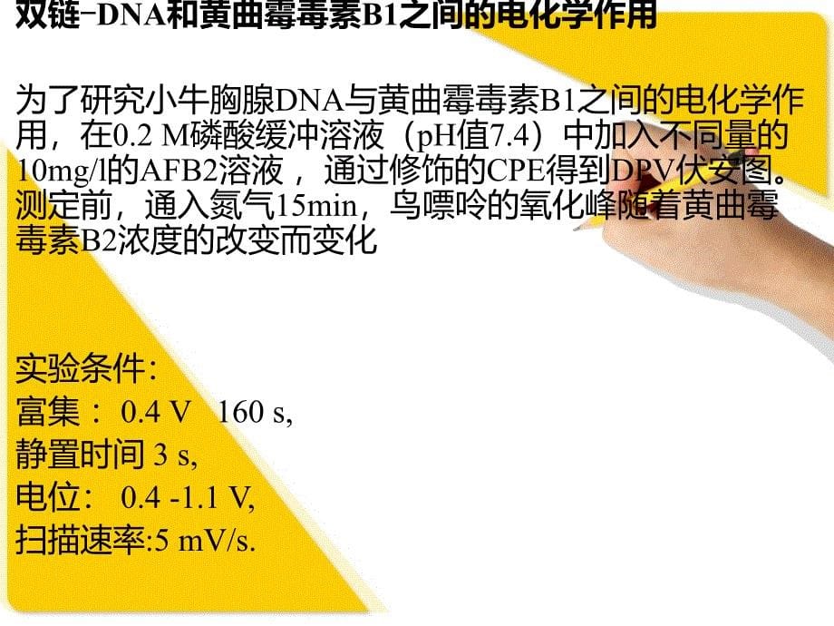 黄曲霉毒素B1与DNA_第5页