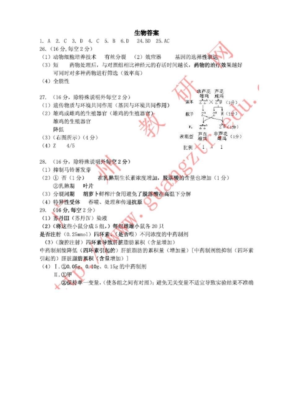 2013 年广州市普通高中毕业班综合测试（二）_第5页