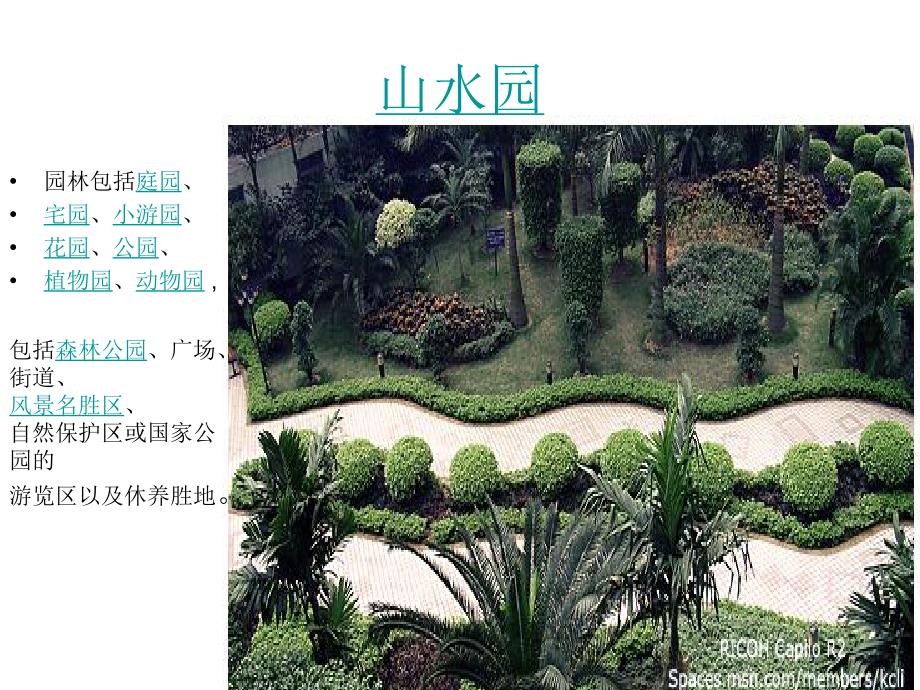 园林植物 ppt_第1页