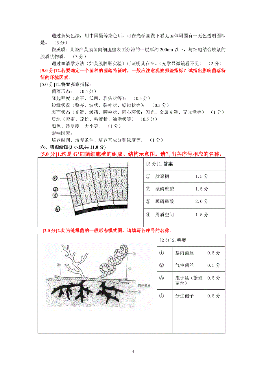 微生物练习题卷_第4页