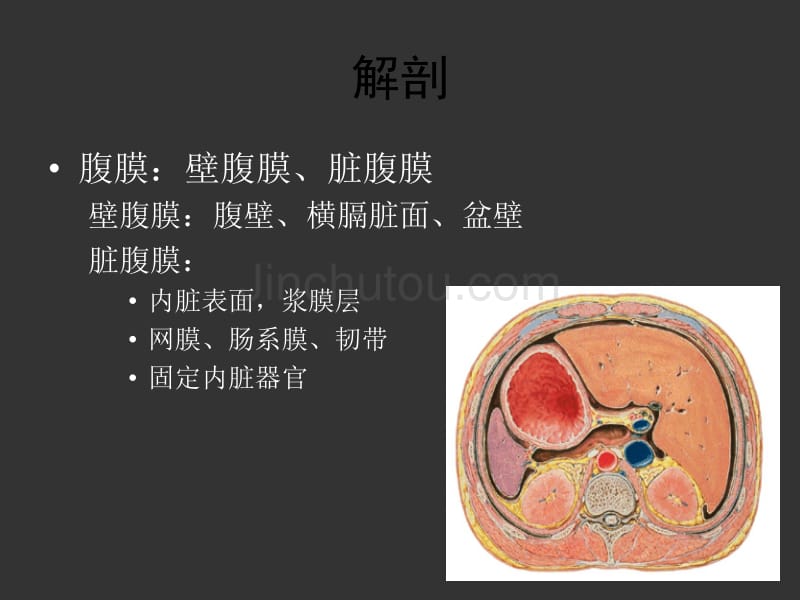 05-急性化脓性腹膜炎幻灯片_第3页