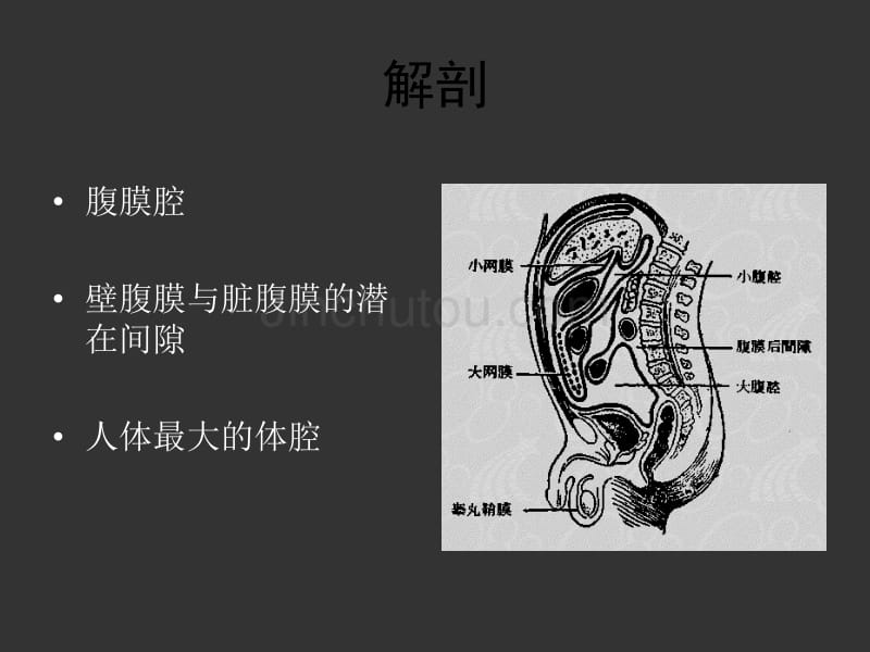 05-急性化脓性腹膜炎幻灯片_第4页