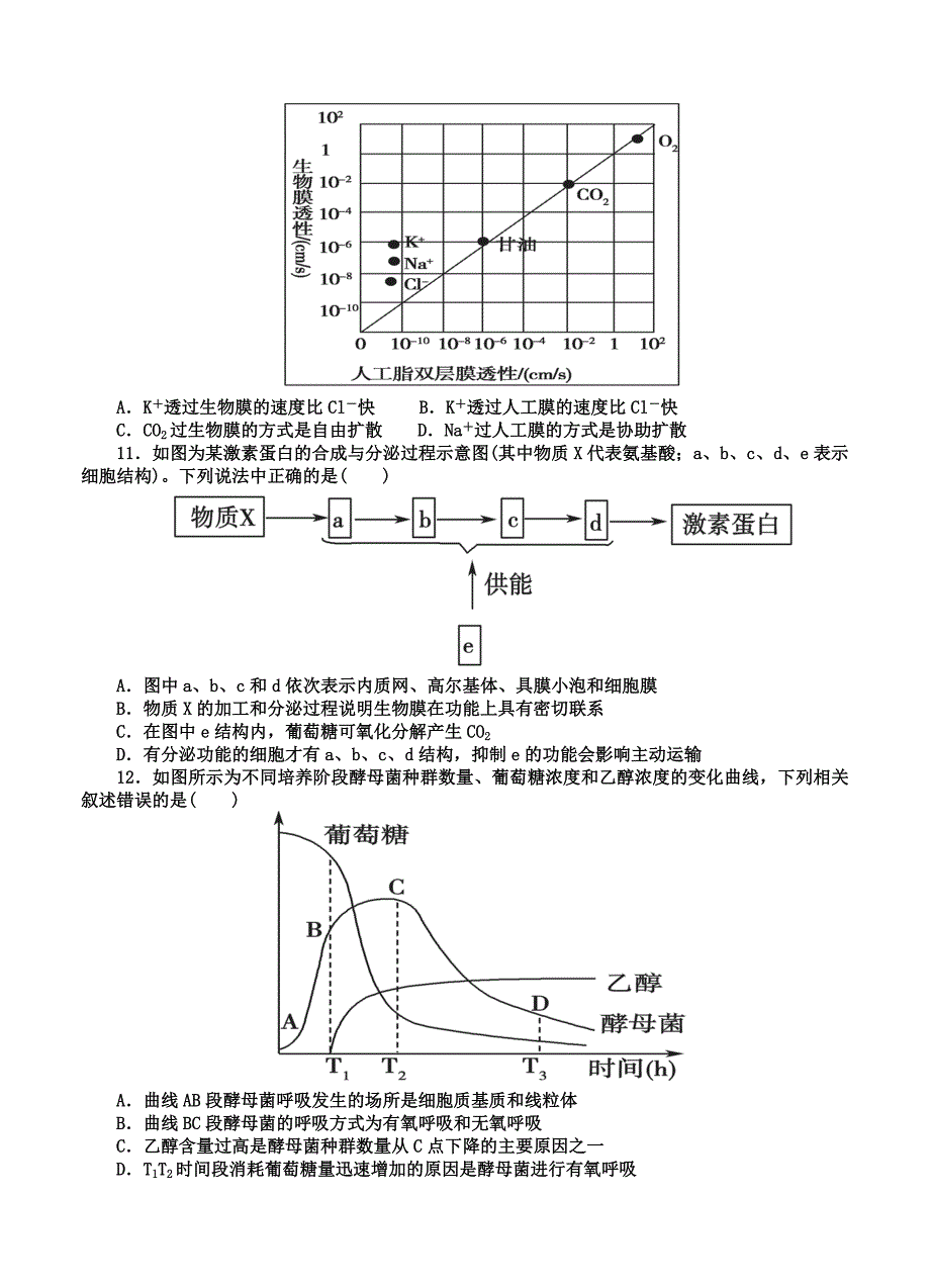 山东省桓台第二中学2015届高三上学期第二次检测（11月）考试生物试题_第3页