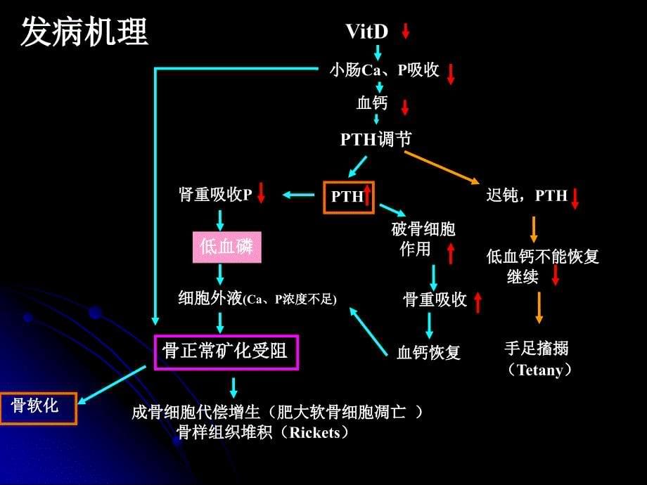 1-维生素D缺乏性手足搐搦症幻灯片_第5页