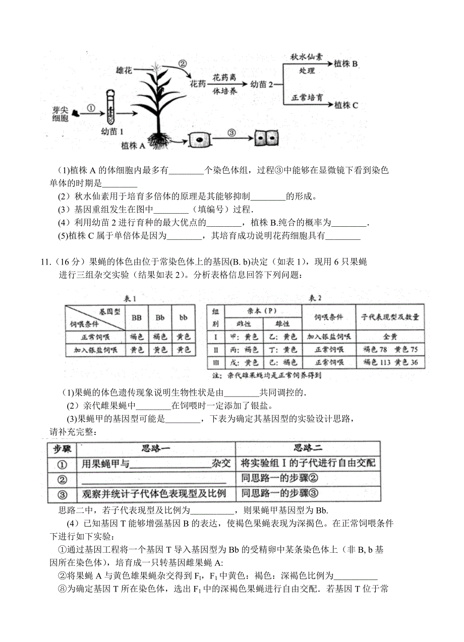 四川省绵阳市高中2014届高三11月第一次诊断性考试生物试题_第4页