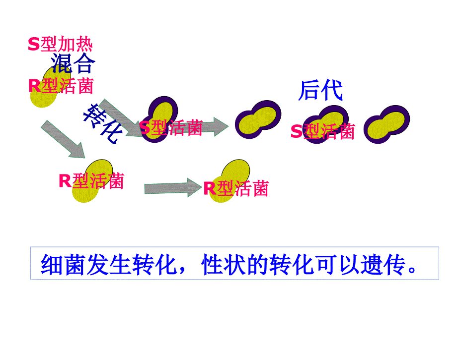 ddr sdram 的工作原理_第5页