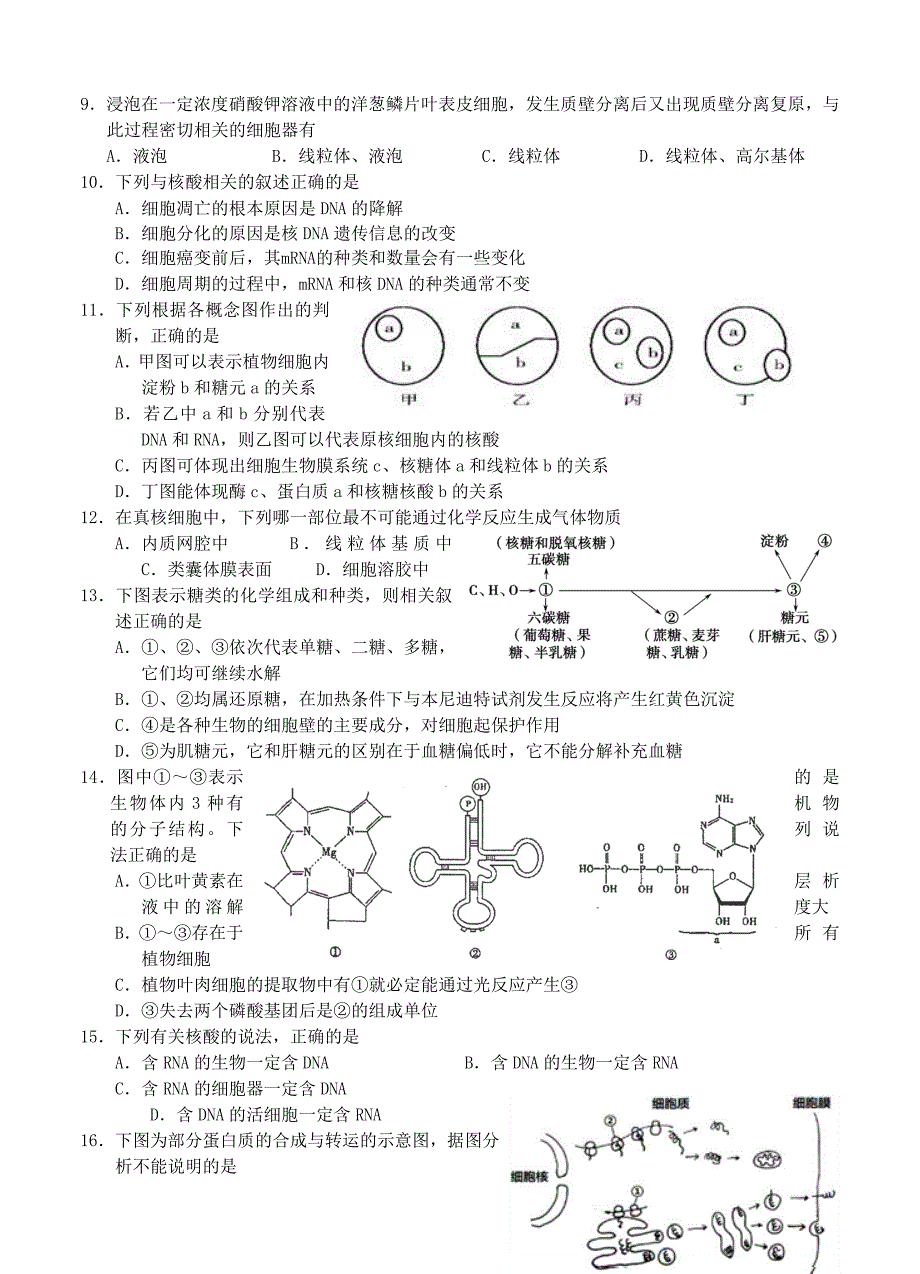 浙江省2017届高三10月高考模拟生物试题_第2页