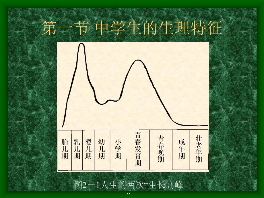 中学生的生理特征与心理教育_第4页