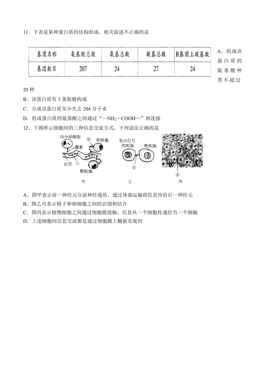 山东省泰安市2015届高三上学期期中考试生物试题_第3页