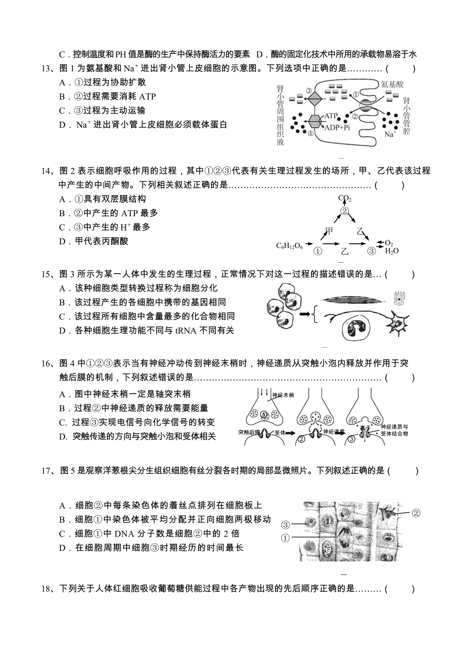 上海市崇明县2016届高三第一次模拟考试 生物_第2页